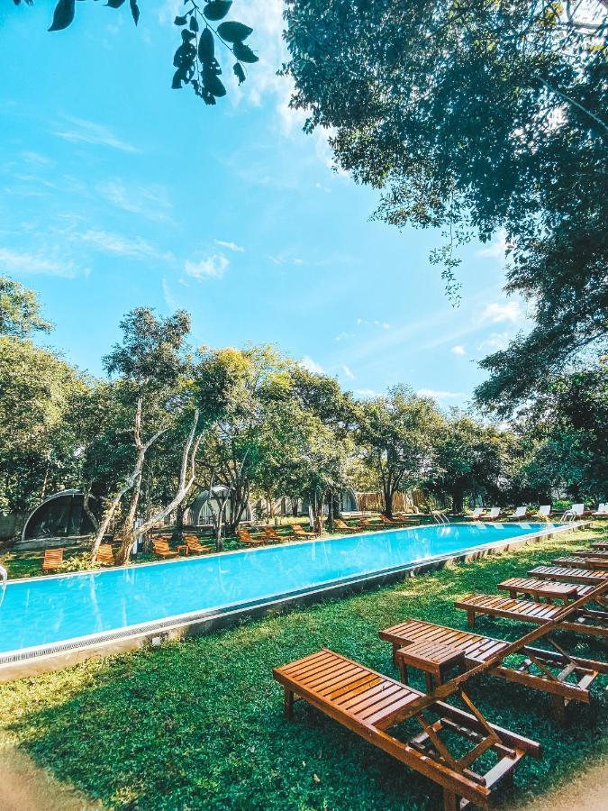 Nivadoo Resort Sigiriya Eksteriør bilde