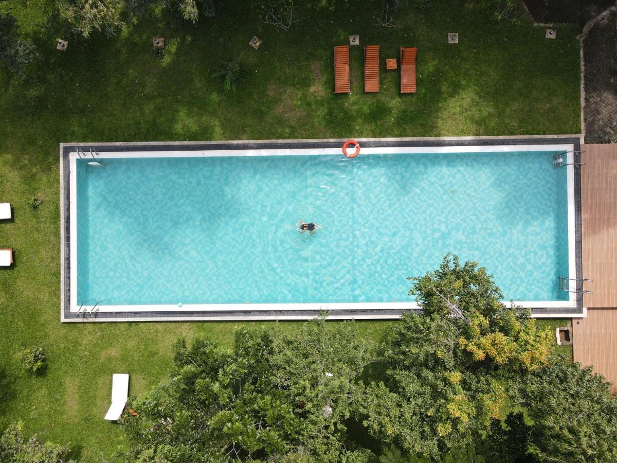 Nivadoo Resort Sigiriya Eksteriør bilde Aerial view of a swimming pool